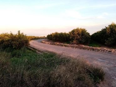 Rustikales Grundstück zum Verkauf in La Vall d'Uixó