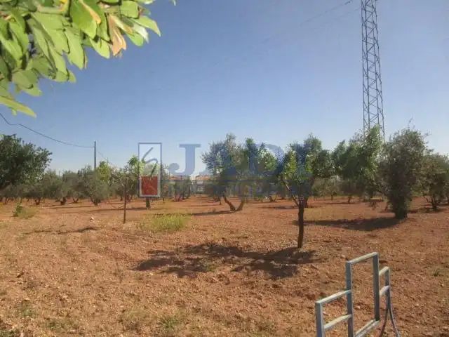 Casa rústica amb piscina en venda a Valdepeñas, imagen 21
