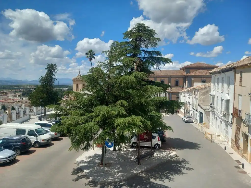 Maison à vendre à Calle Villa, imagen 2