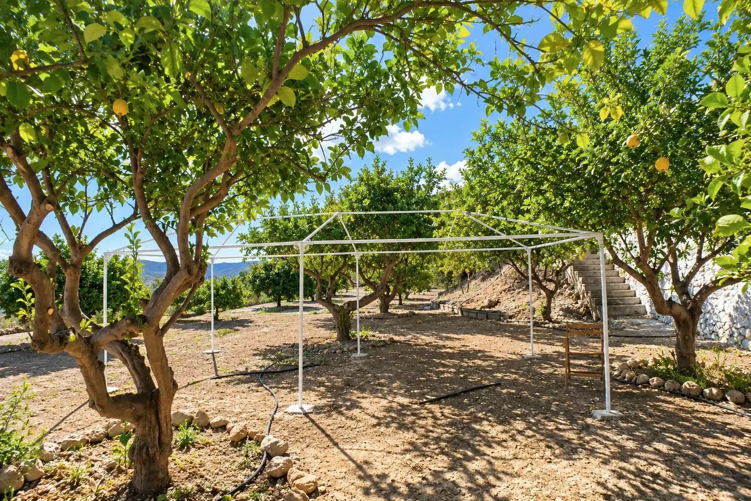 Maison rustique à vendre à Íllar, imagen 21