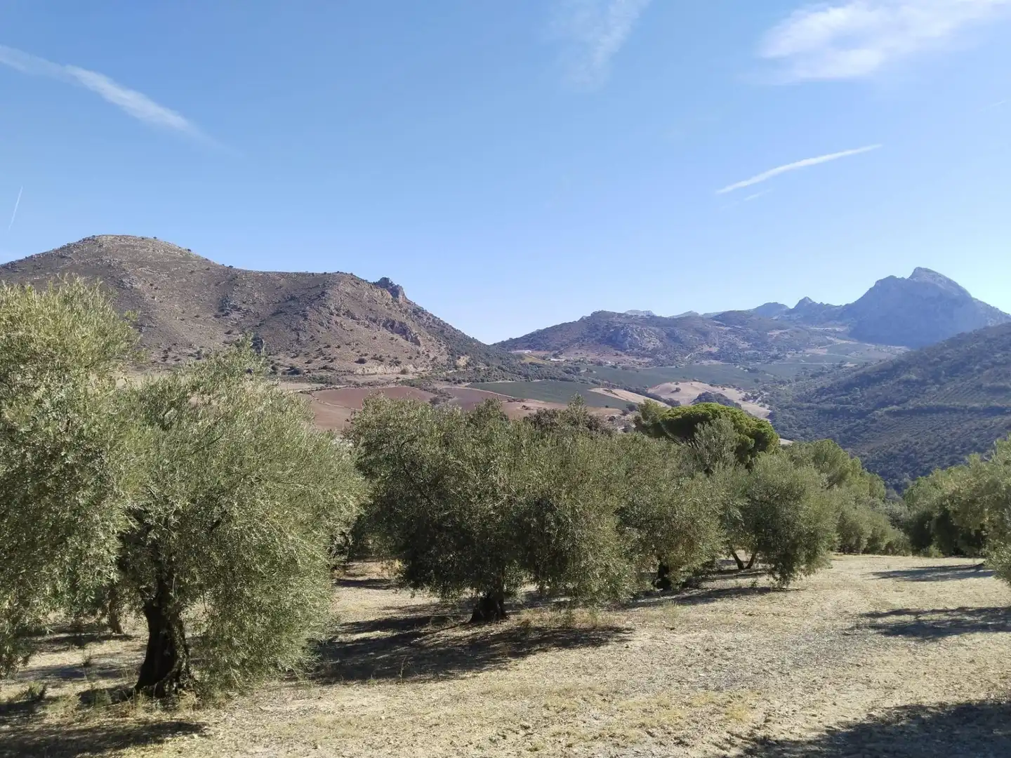 Terrenys i solars en venda a Zona de la Vega