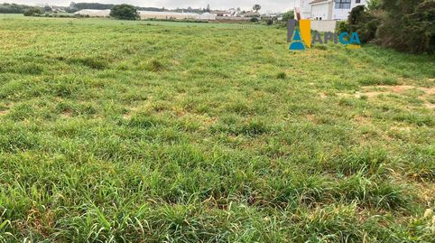 Photo 4 of Land for sale in Roche, Conil de la Frontera