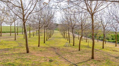 Finca rústica en venta con casa, nave y piscina, immagine 2