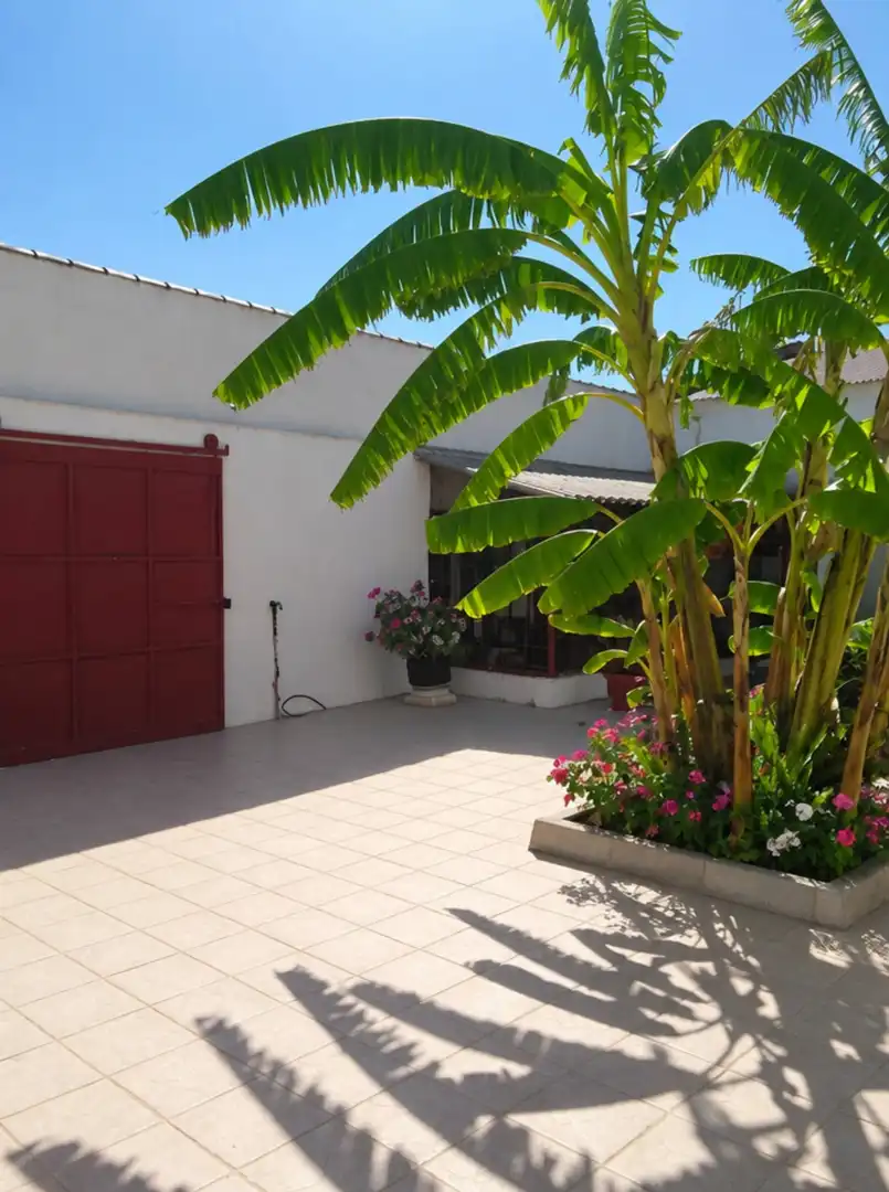 Jardí de Finca rústica en venda en Cartagena amb Calefacció, Jardí privat i Terrassa