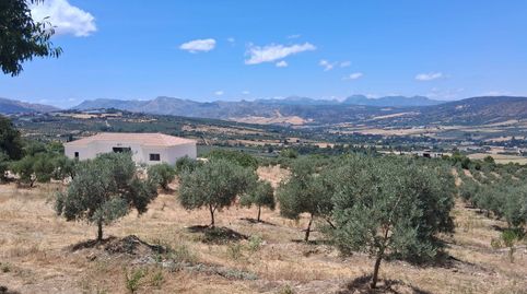 Foto 5 de Terreny industrial en venda a Carril del Noque, 25, Partidas Norte, Ronda