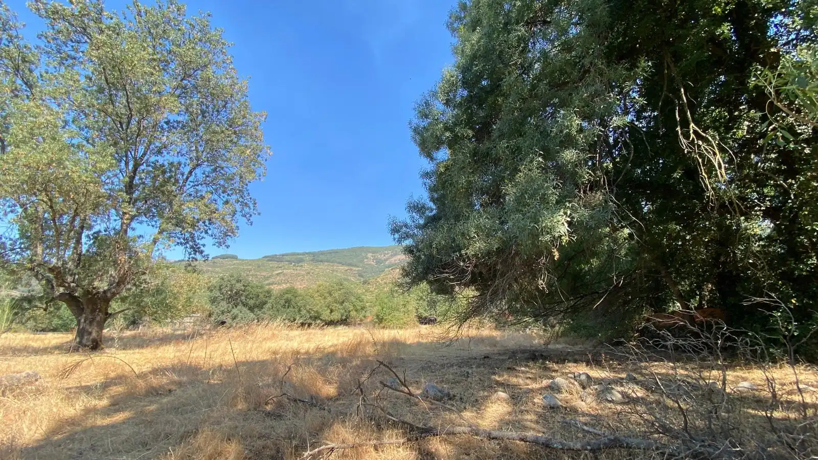 Rural land for sale in Calle el Roble 4, imagen 6
