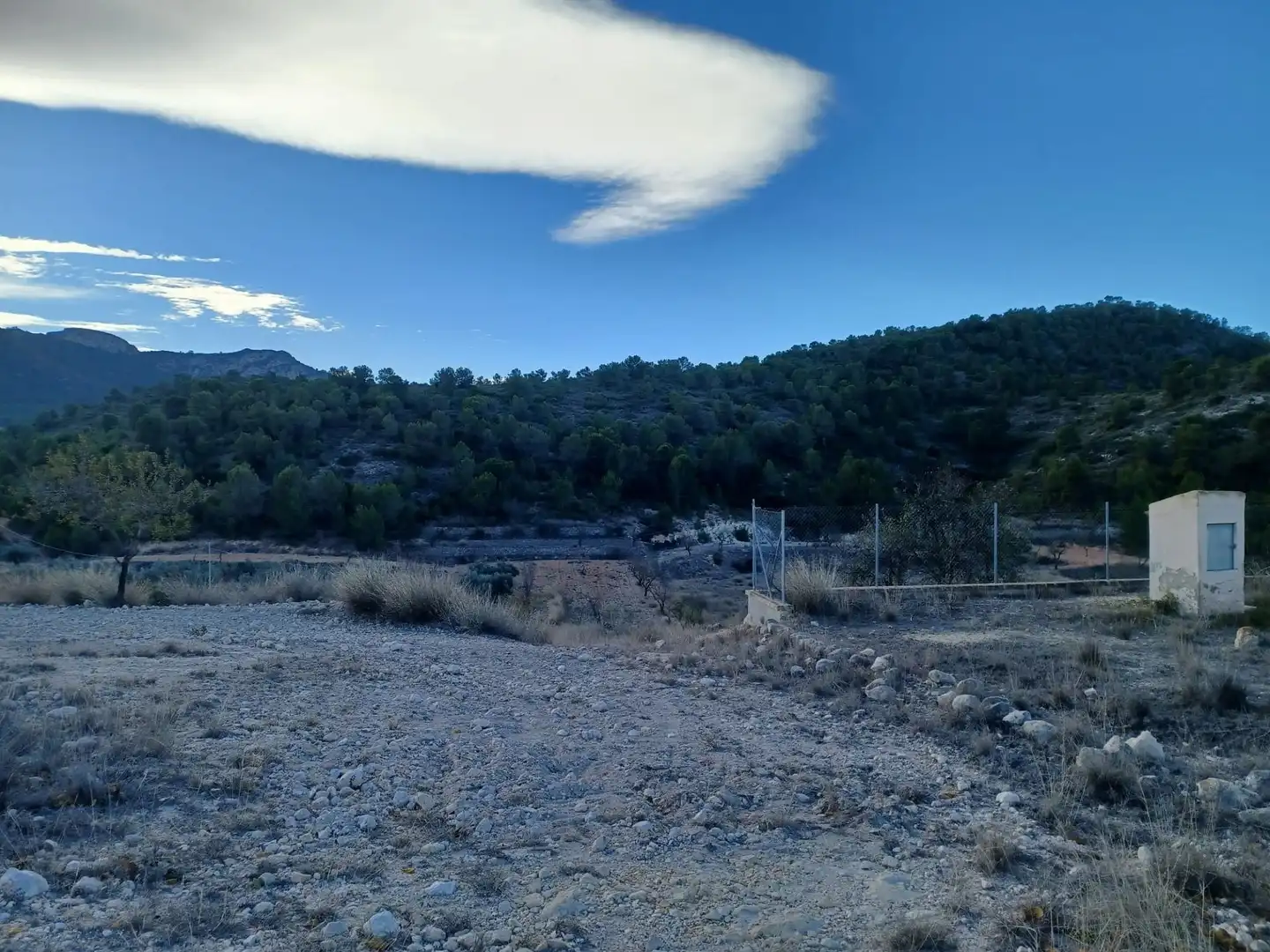 Casa rustica in vendita a Jumilla, imagen 8