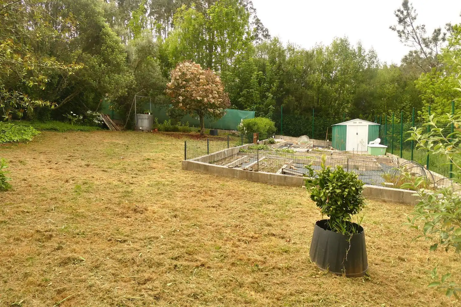 Villa avec jardin à vendre à ferreira, imagen 23