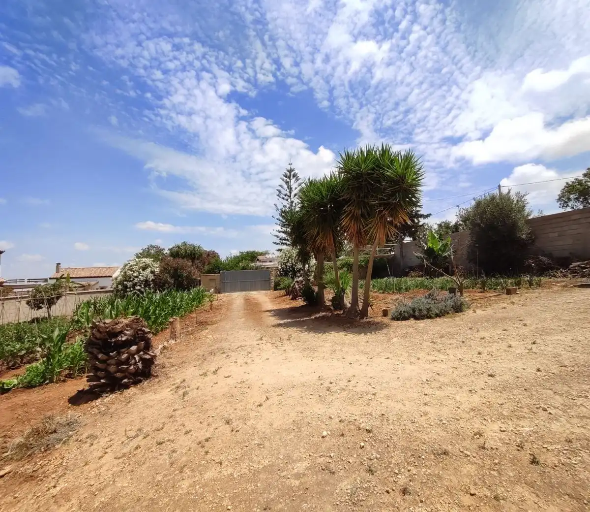 Detached house for sale in Barrio Nuevo, imagen 43