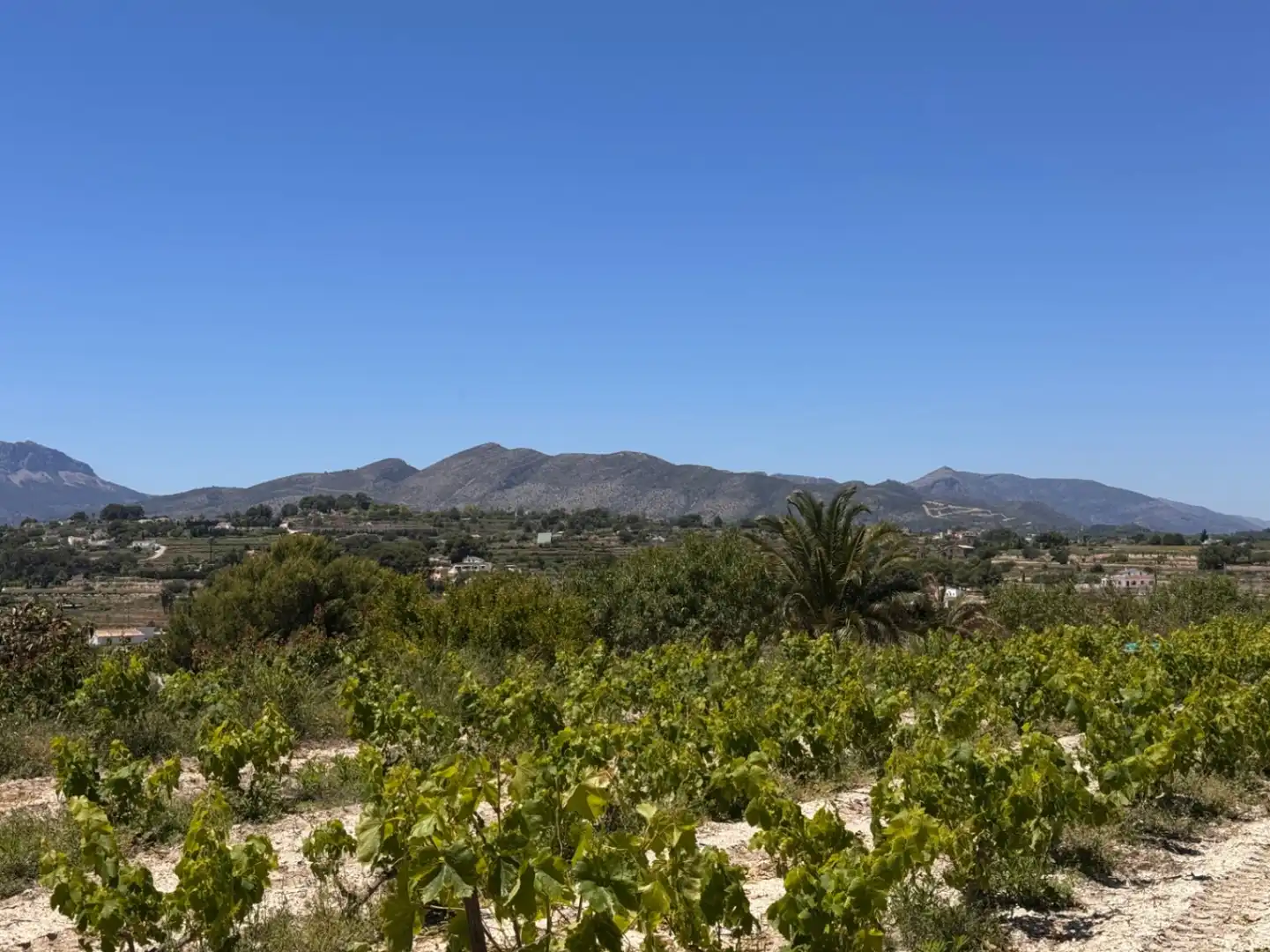 Finca rústica en venta en Benissa con Aire acondicionado, Calefacción y Jardín privado