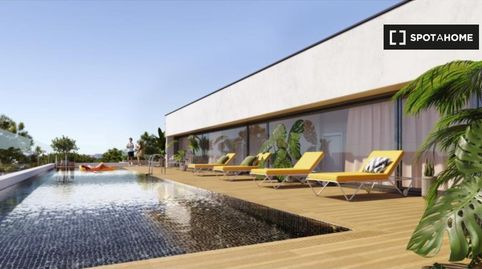 Foto 5 de Habitació a El Cano - Los Bermejales, Sevilla Capital