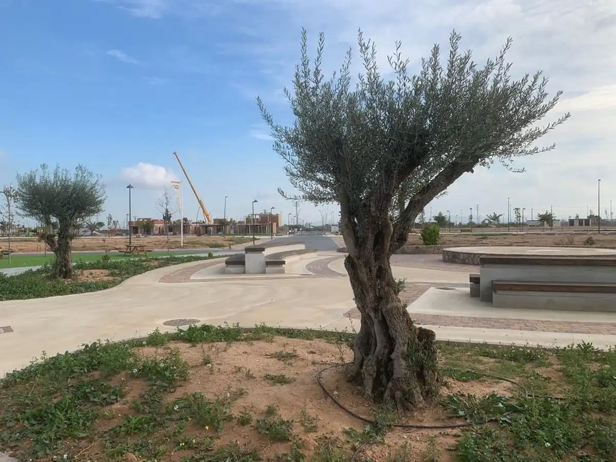 Casa o xalet en venda en Torre-Pacheco amb Piscina