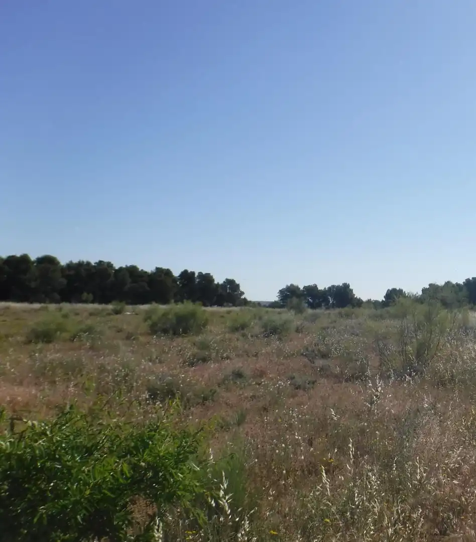 Rural land for sale in PLUTO, imagen 9