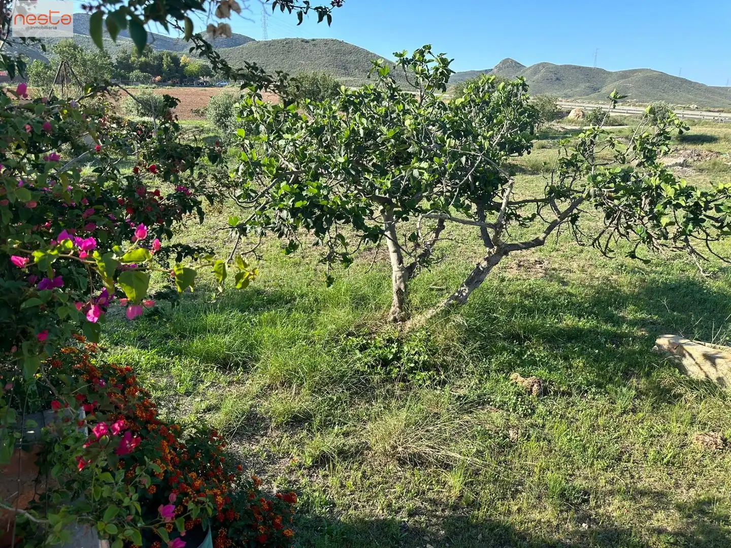 Terreni e lotti in vendita a Pedanías Sur, imagen 23