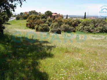 Terreny residencial en venda a El Bosque