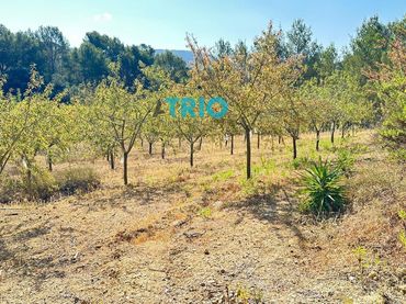 Terreno rústico en venta en Algaida