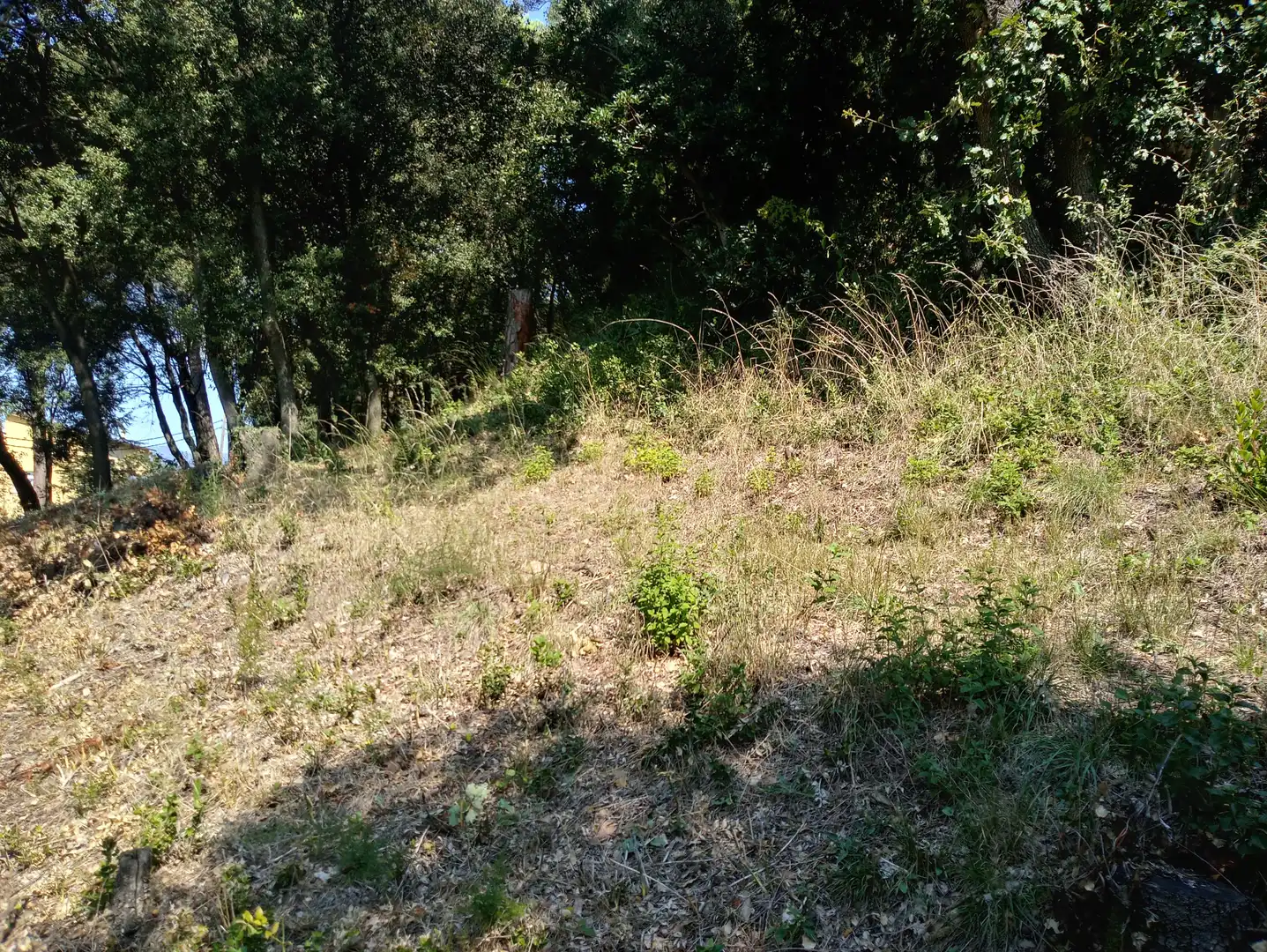 Terreno residencial en venta en Carrer de la Morera, imagen 9