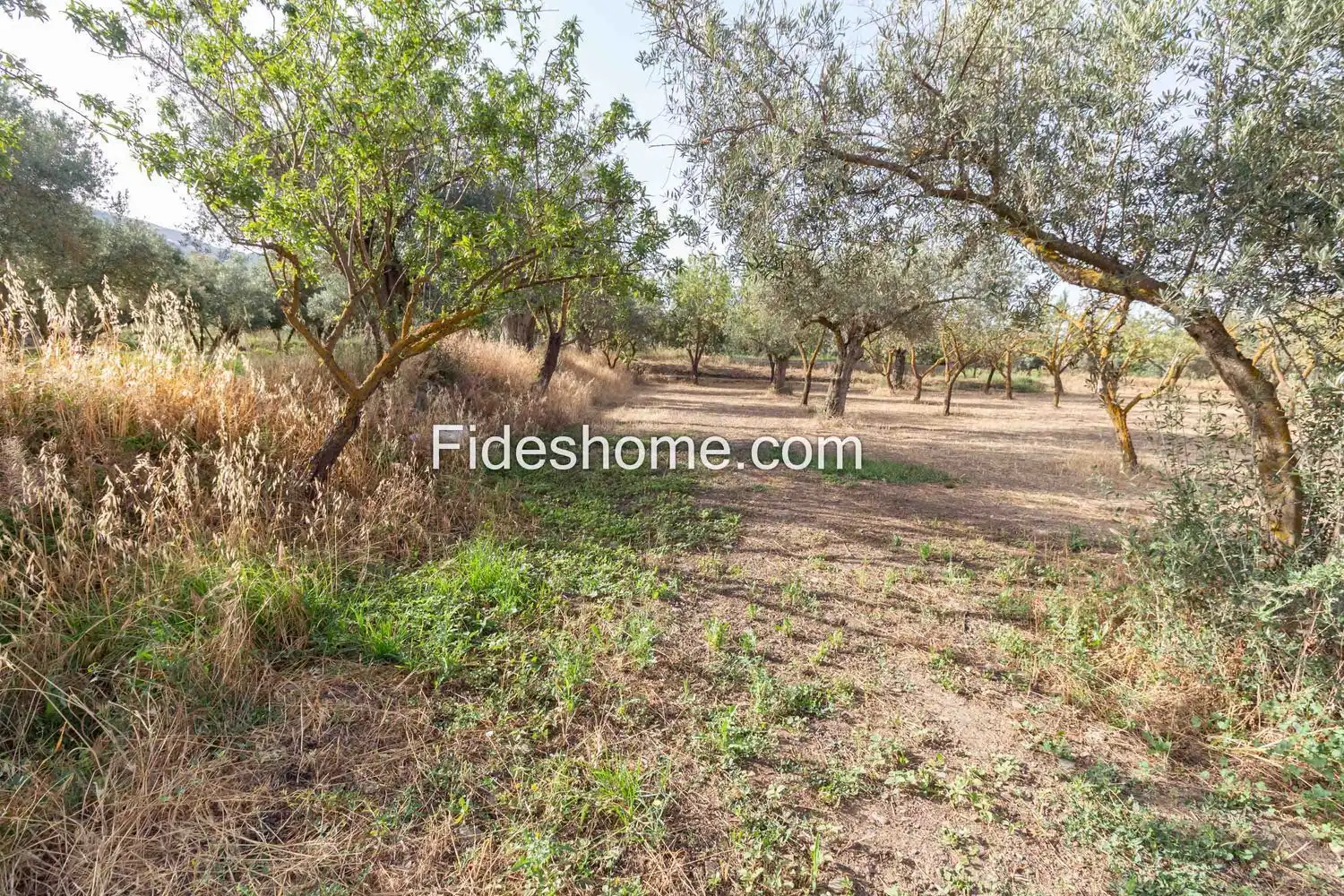 Rural land for sale in XFG2+MG9 Nigüelas 0, imagen 15