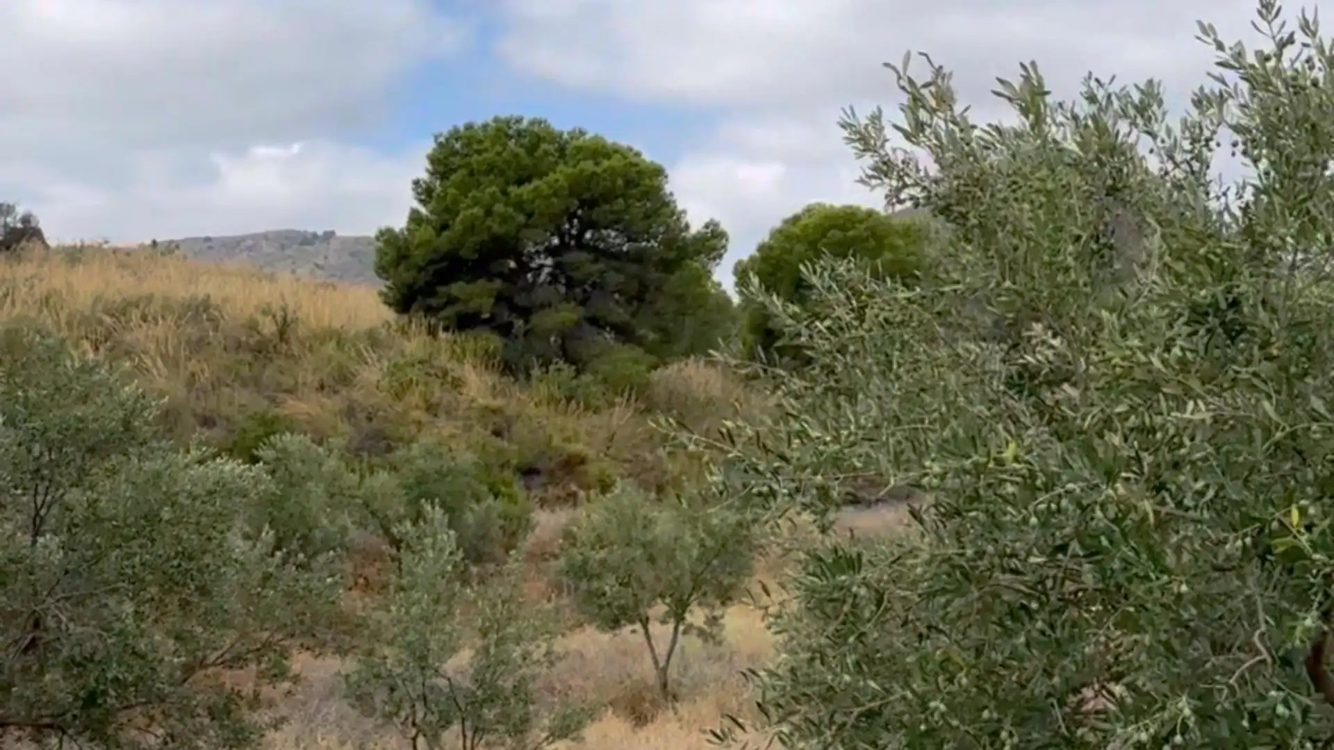 Country homes for sale in Lorca  with Private garden