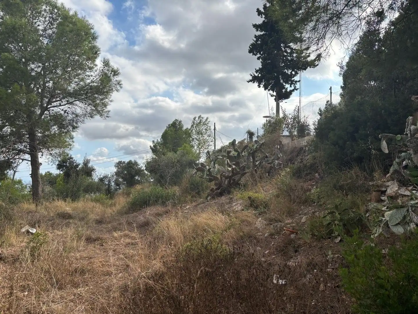 Terreny residencial en venda a del Puig 13, imagen 12