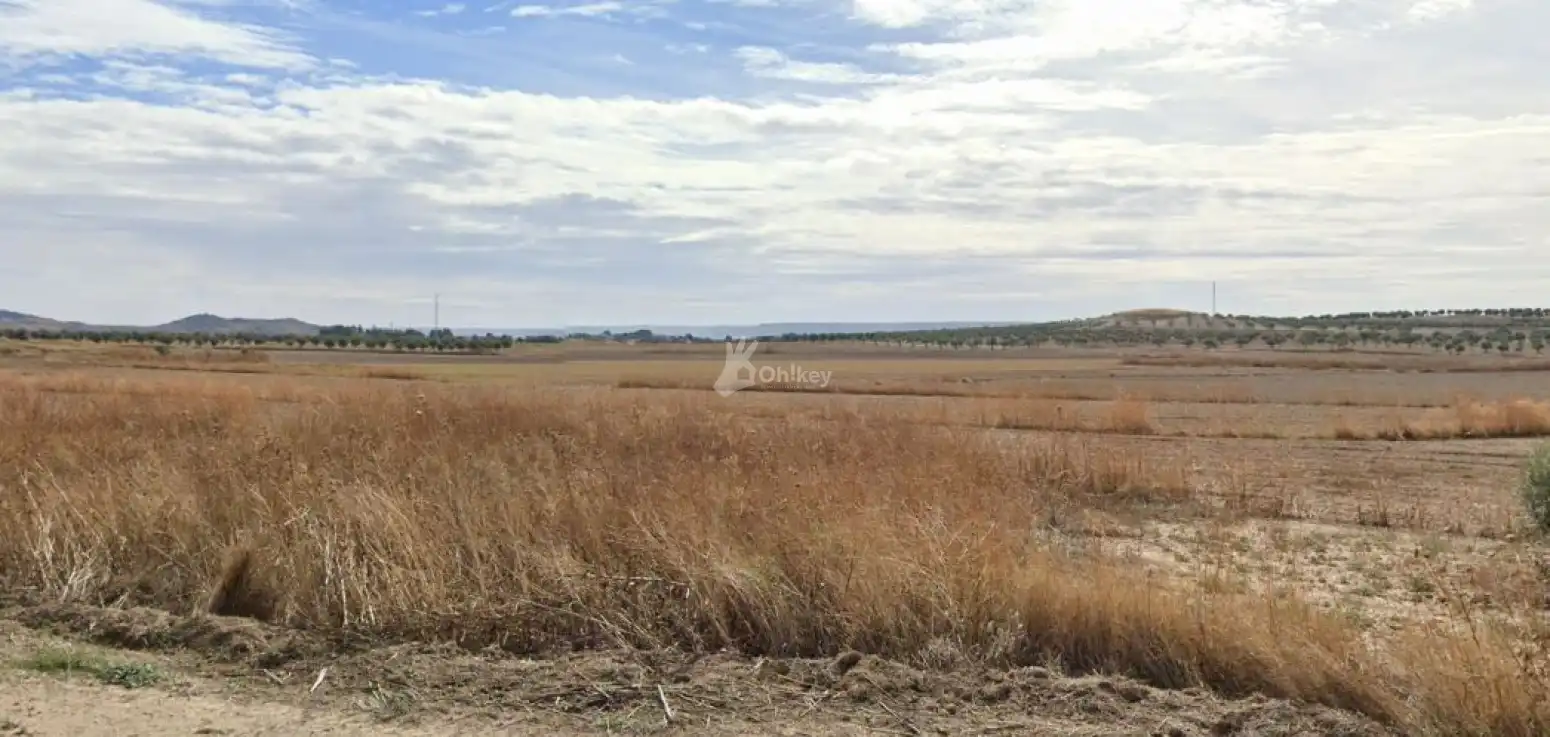 Rural land for sale in Villaconejos, imagen 3