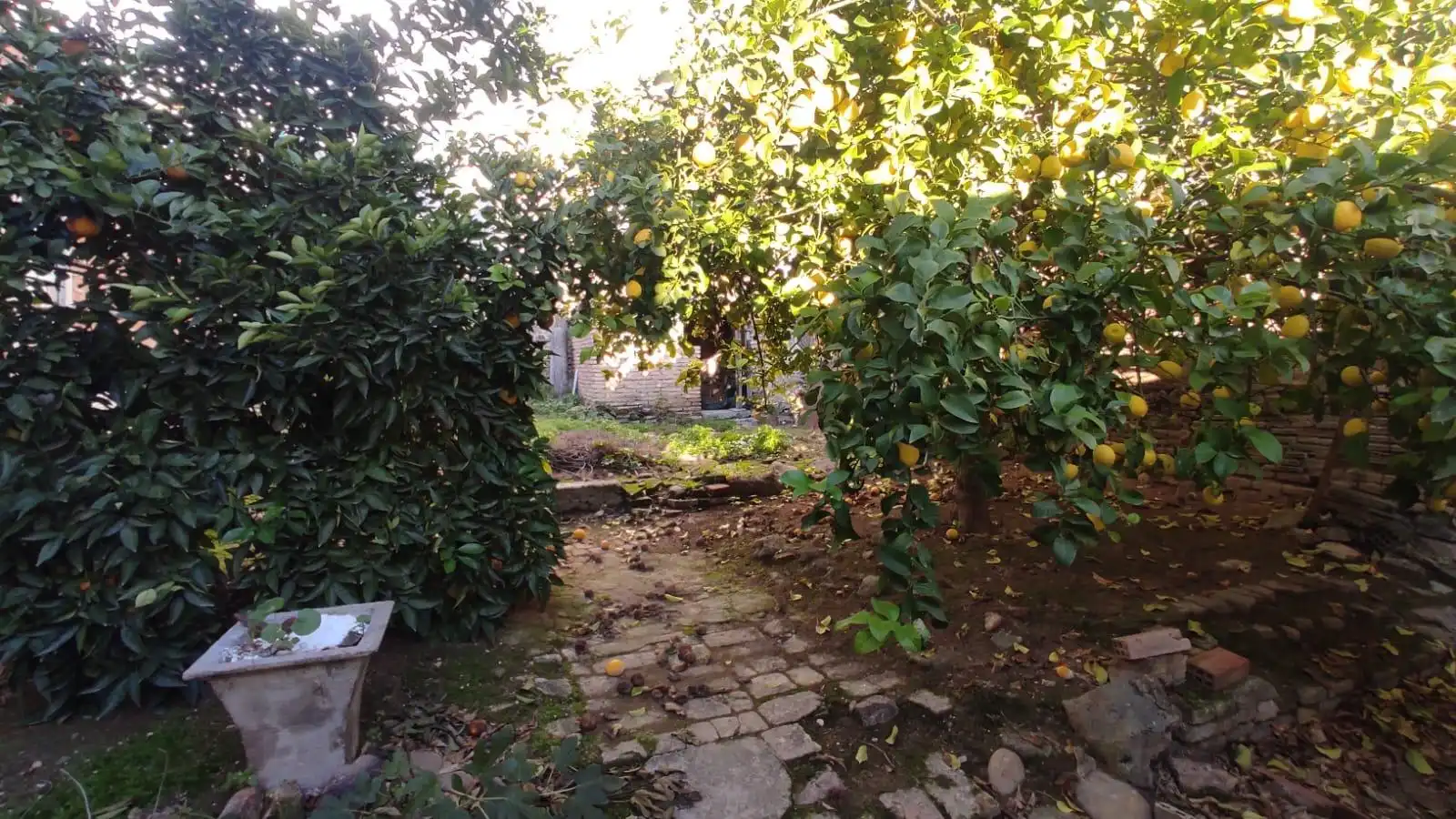 Garden of Houses for sale in El Carpio  with Air Conditioner, Private garden and Terrace