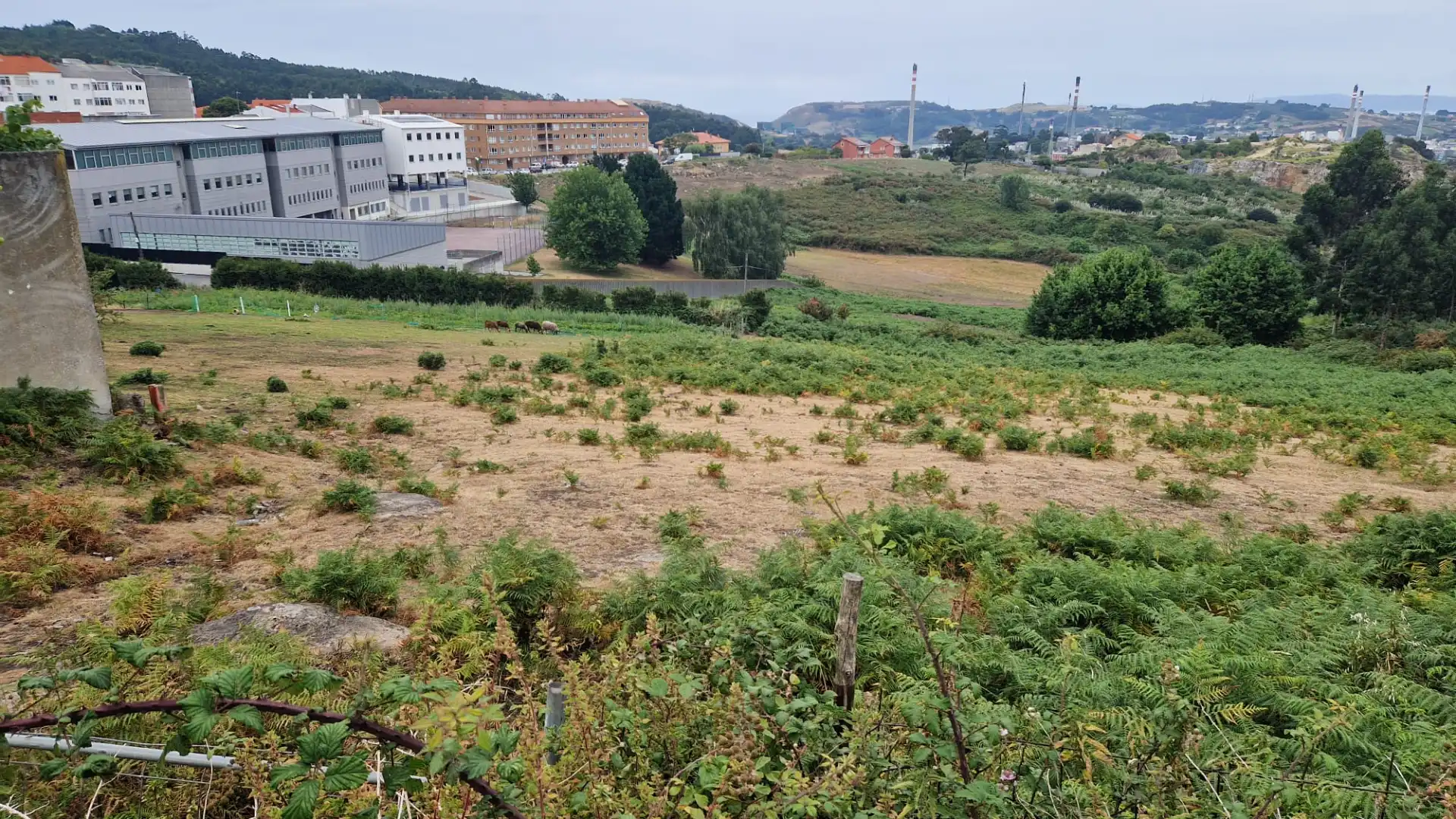 Residential land for sale in Rúa Francisco Asorey 5, imagen 4