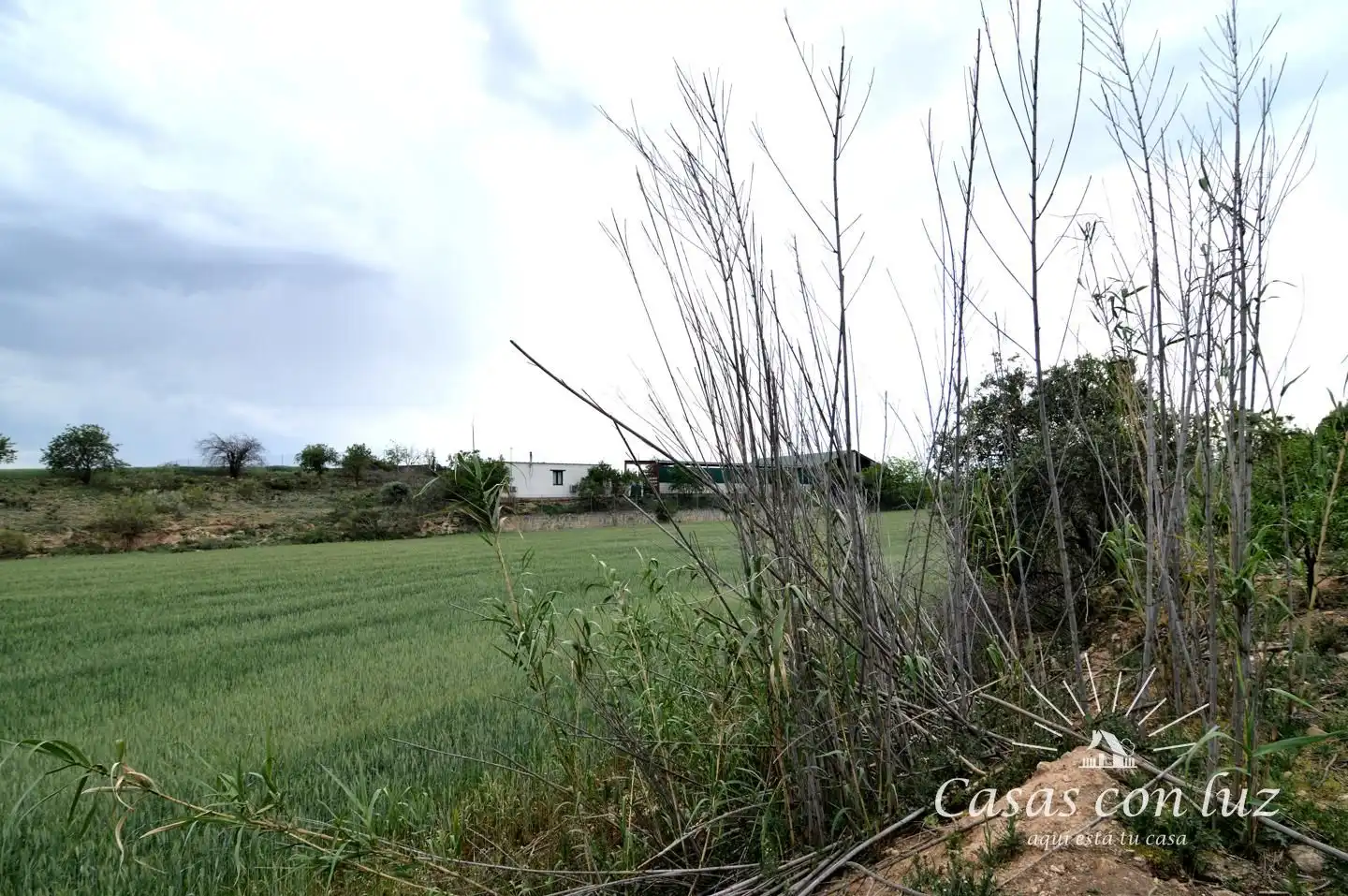 Terreno en venta en Zaragoza