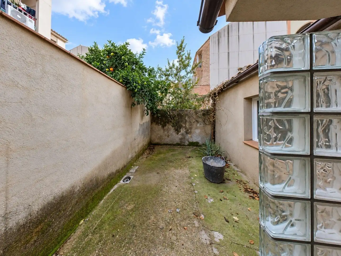 Garden of Commercial properties for rent in Centre