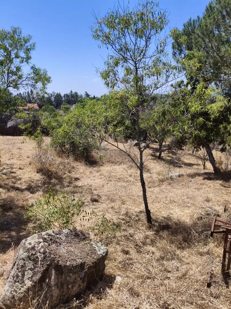 Residencial en venta en Calle de las Hoyuelas, Fresnedillas de la Oliva