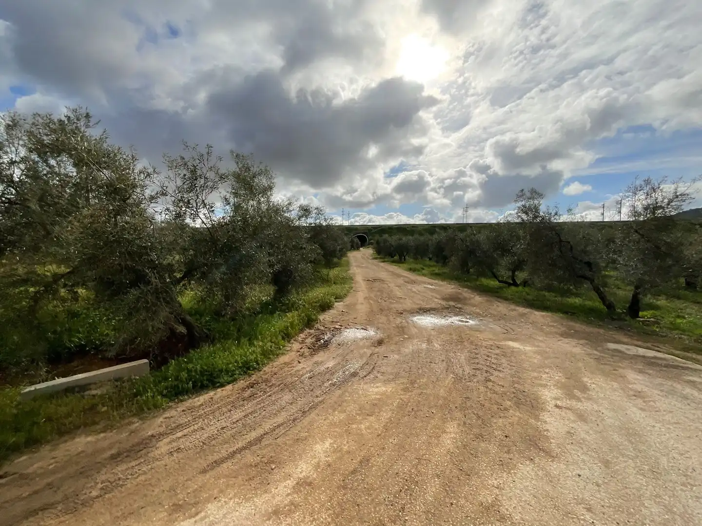 Rustikales Grundstück zum Verkauf in Fuente de Piedra, imagen 10