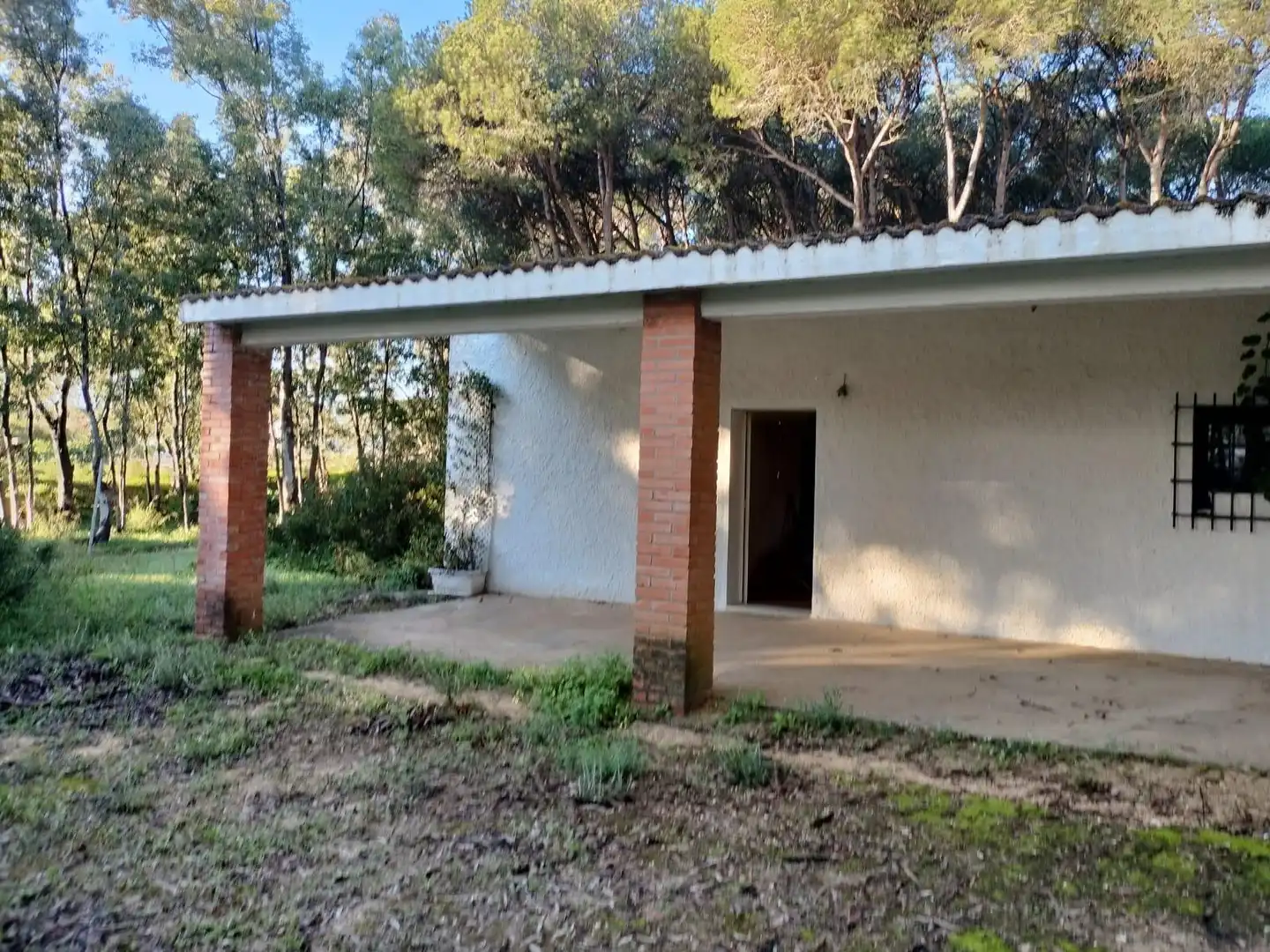 Terreno residencial en venta en Pelagatos - Pago del Humo, imagen 3