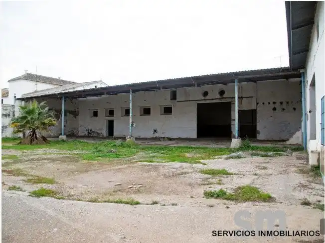 Nave industrial in vendita a Marchena, imagen 3