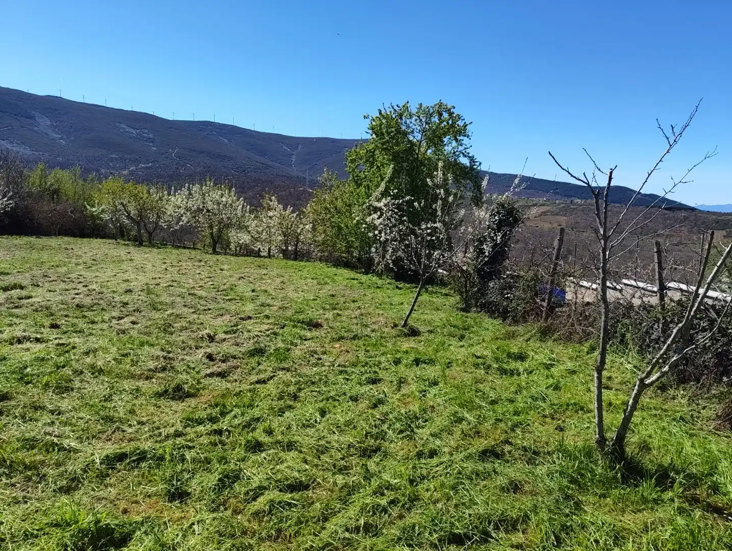 Land for sale in Castropodame