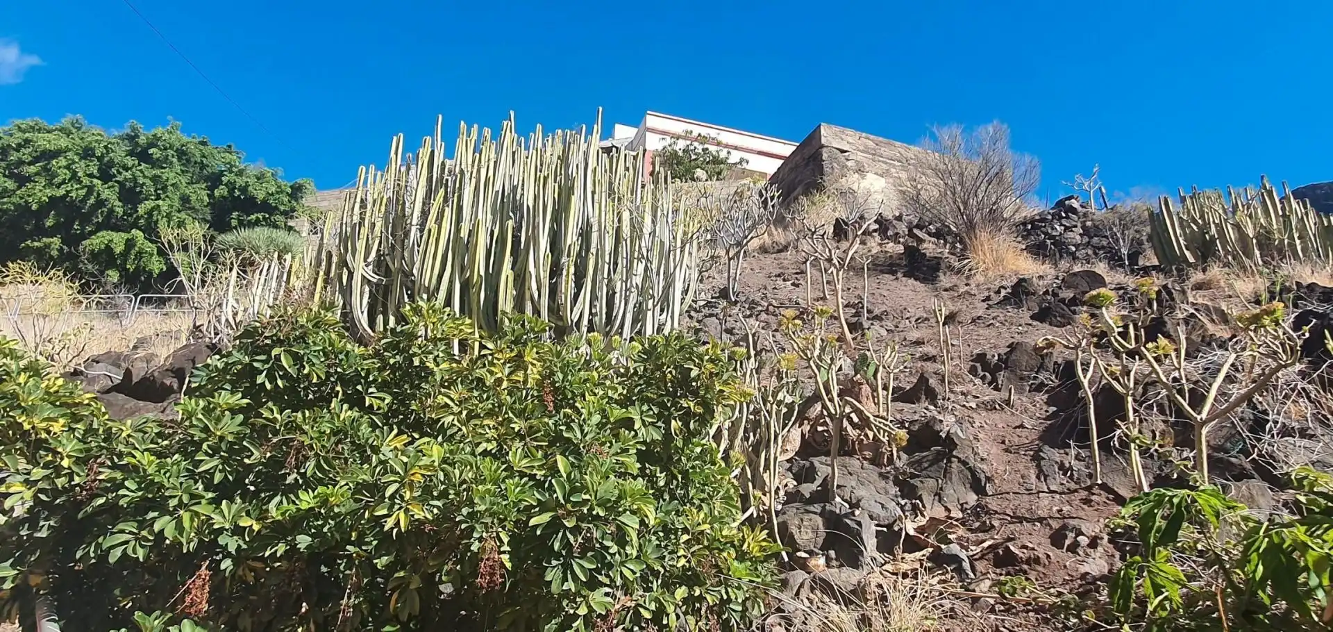 Garden of Residential for sale in Santa Cruz de Tenerife