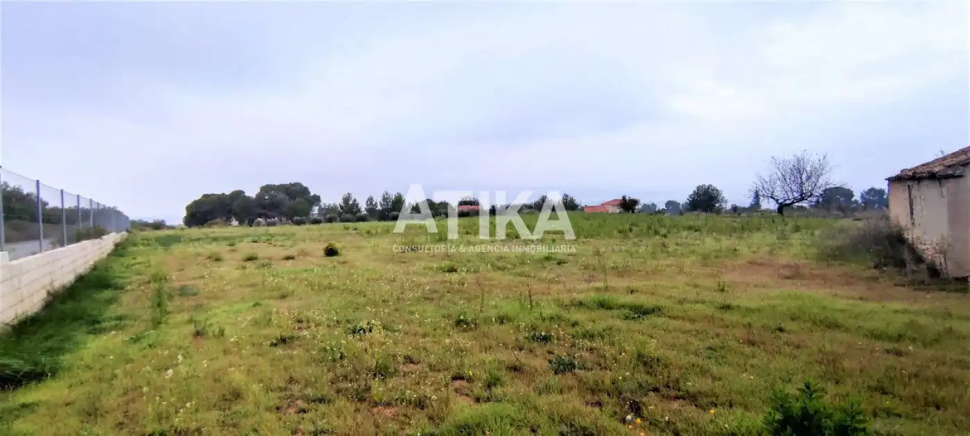 Terrain rustique à vendre à Centro, imagen 5