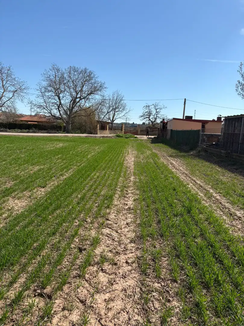 Terreno rústico en venta en Villamediana de Iregua, imagen 8