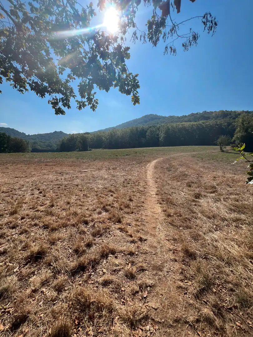 Finca rústica en venda a Ronda Fluvià, del, 33, Olot
