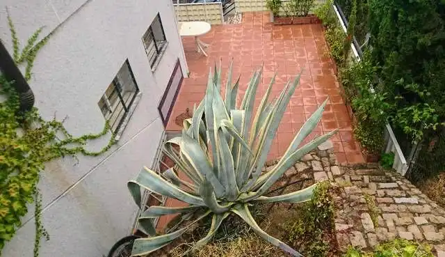 Jardín de Casa adosada en venta en Córdoba con Aire acondicionado, Calefacción y Jardín privado