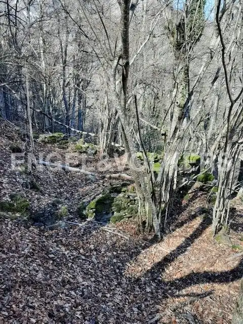 Rustikales Grundstück zum Verkauf in Canejan, imagen 10