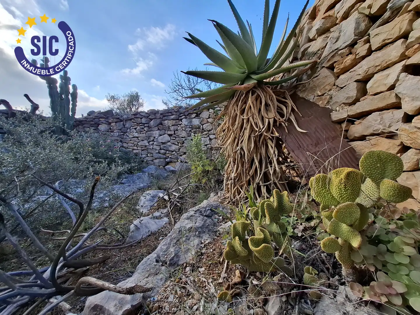 Jardí de Casa o xalet en venda en Sierra Engarcerán