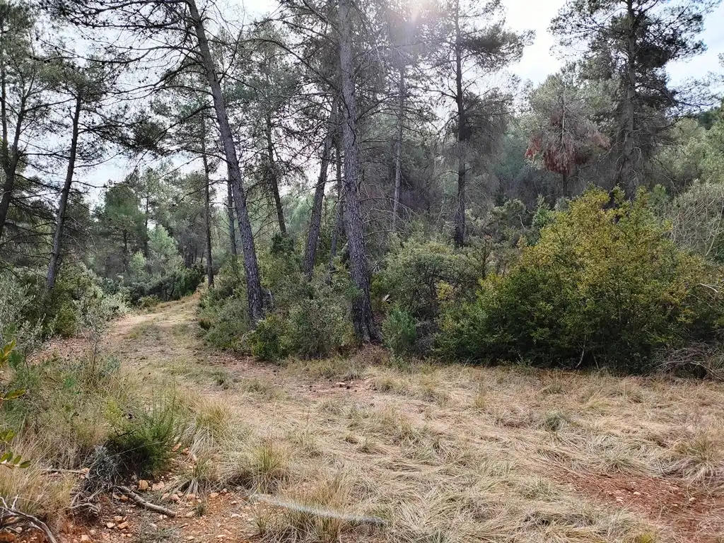 Terreni e lotti in vendita a Valderrobres, imagen 8