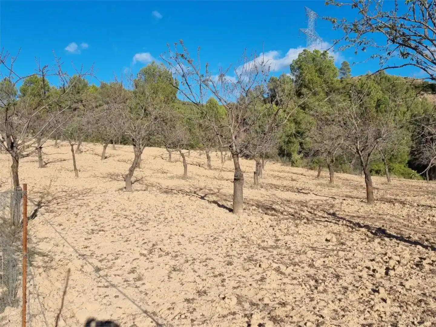 Terreno en venta en Cofrentes