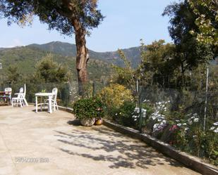 Jardí de Finca rústica en venda en Genalguacil amb Terrassa i Piscina