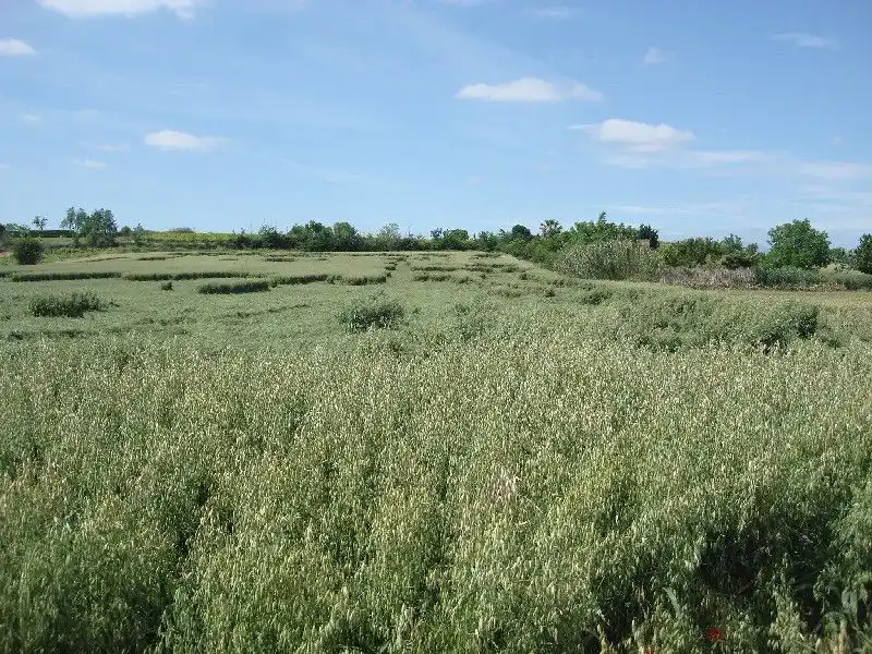 Terreny rústic en venda a Villamediana de Iregua, imagen 2