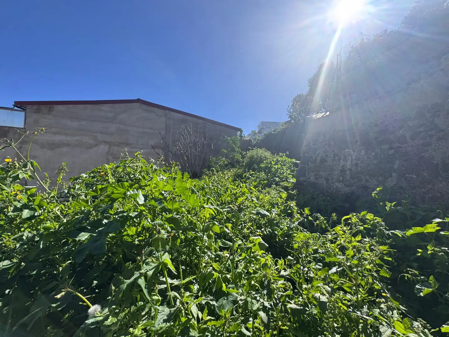 Detached homes for sale in Arucas  with Terrace