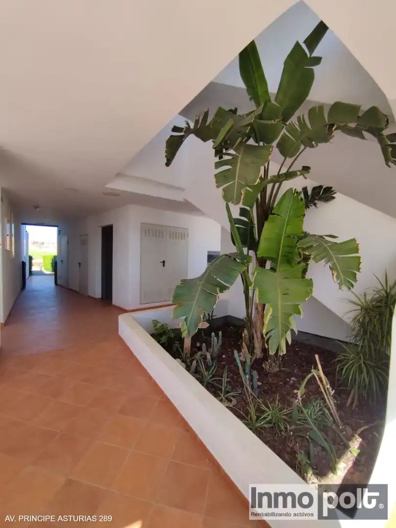 Apartamento de alquiler en Torre-Pacheco con Jardín privado, Terraza y Amueblado