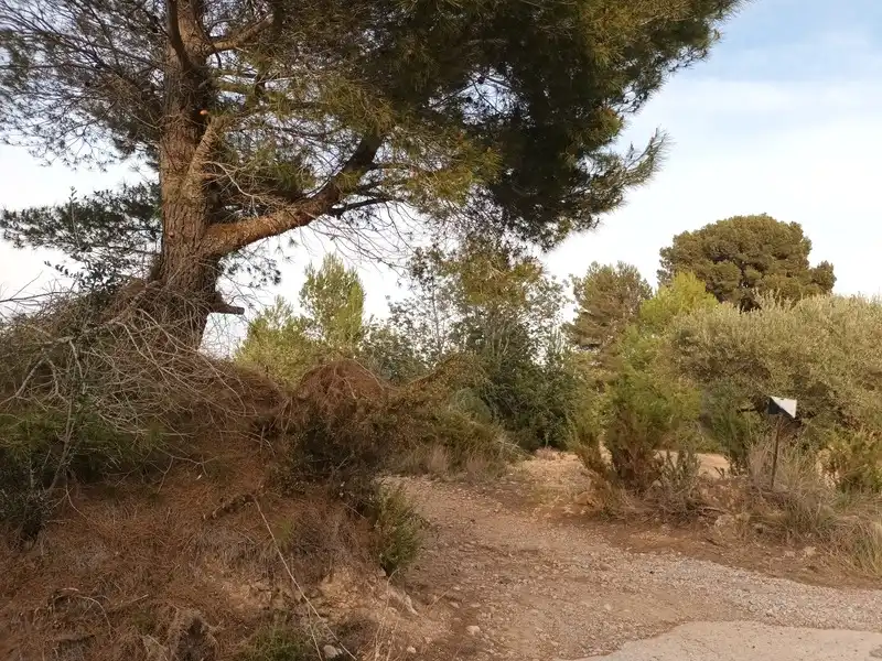 Terreny residencial en venda a San Jorge / Sant Jordi, imagen 5