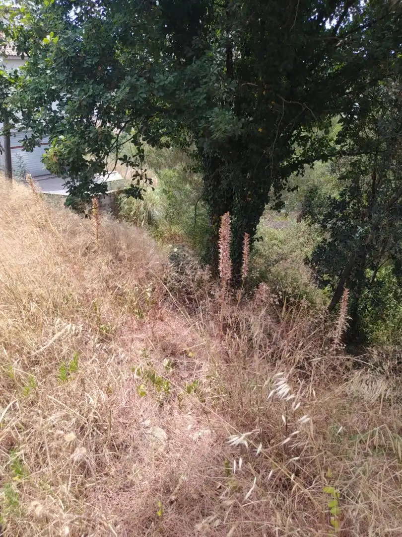 Terreny residencial en venda a Riells i Viabrea, imagen 2