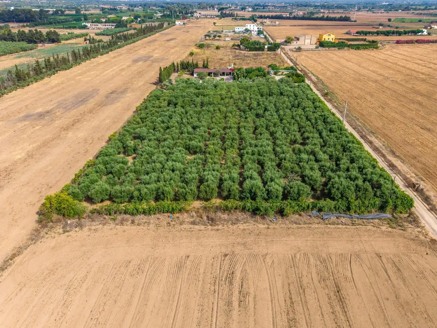 Finca rústica en venda a Polígono 8 Parcela 28, Poble